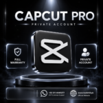 CapCut Pro